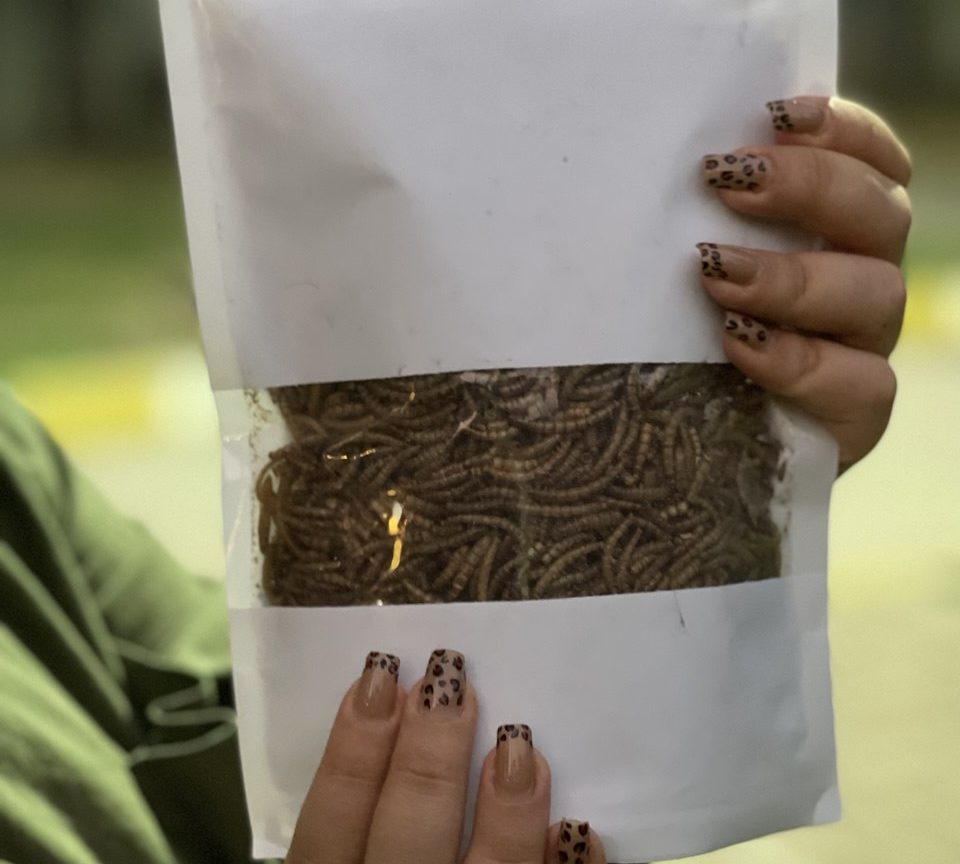 photo_2025-10-26_15-42-16