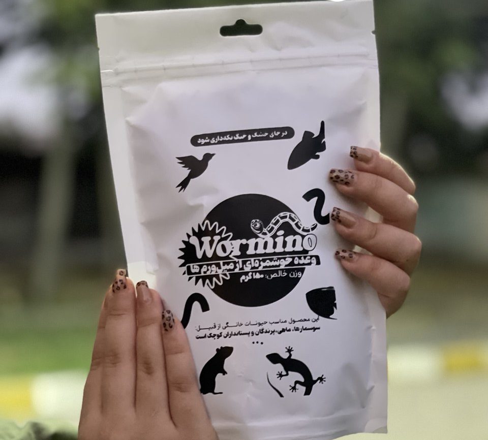 photo_2025-10-26_15-42-22